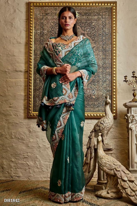 fancy border work designer concept saree with full fancy Embroidery work blouse