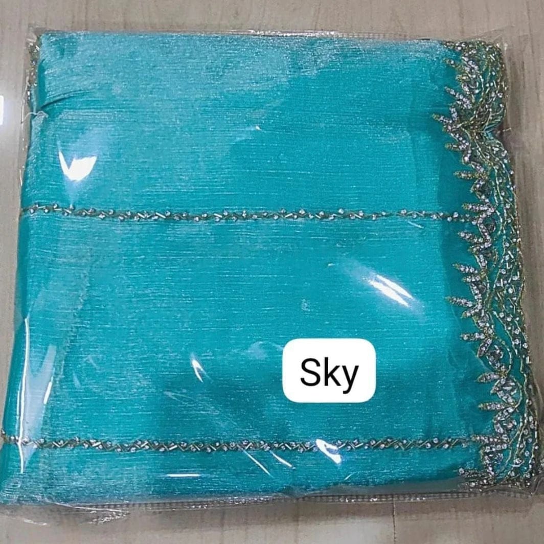 Zimmy Choo hand work saree diamond stone work