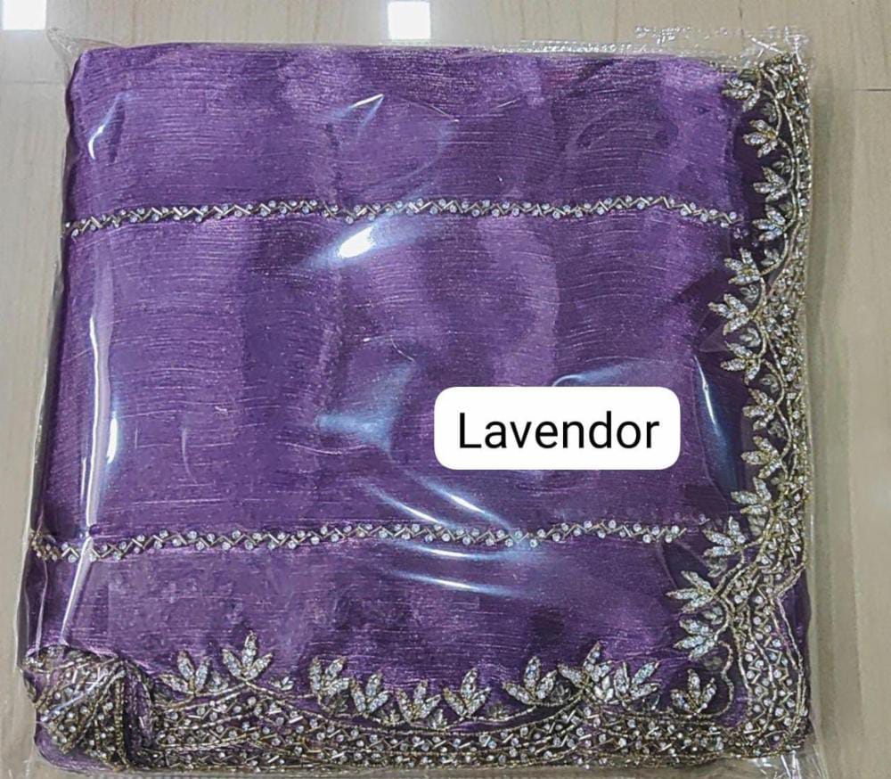 Zimmy Choo hand work saree diamond stone work