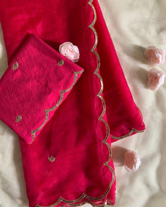 pure organza saree with beautiful handwork