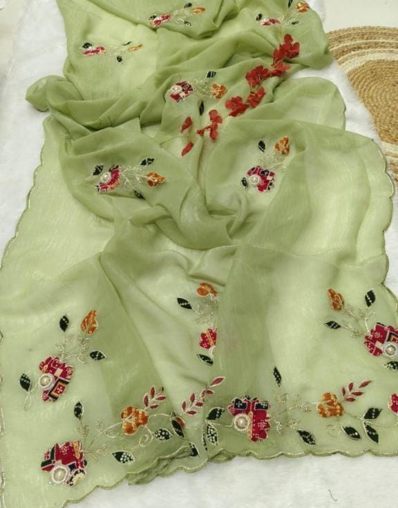 Women,s fandy chiffon fancy saree