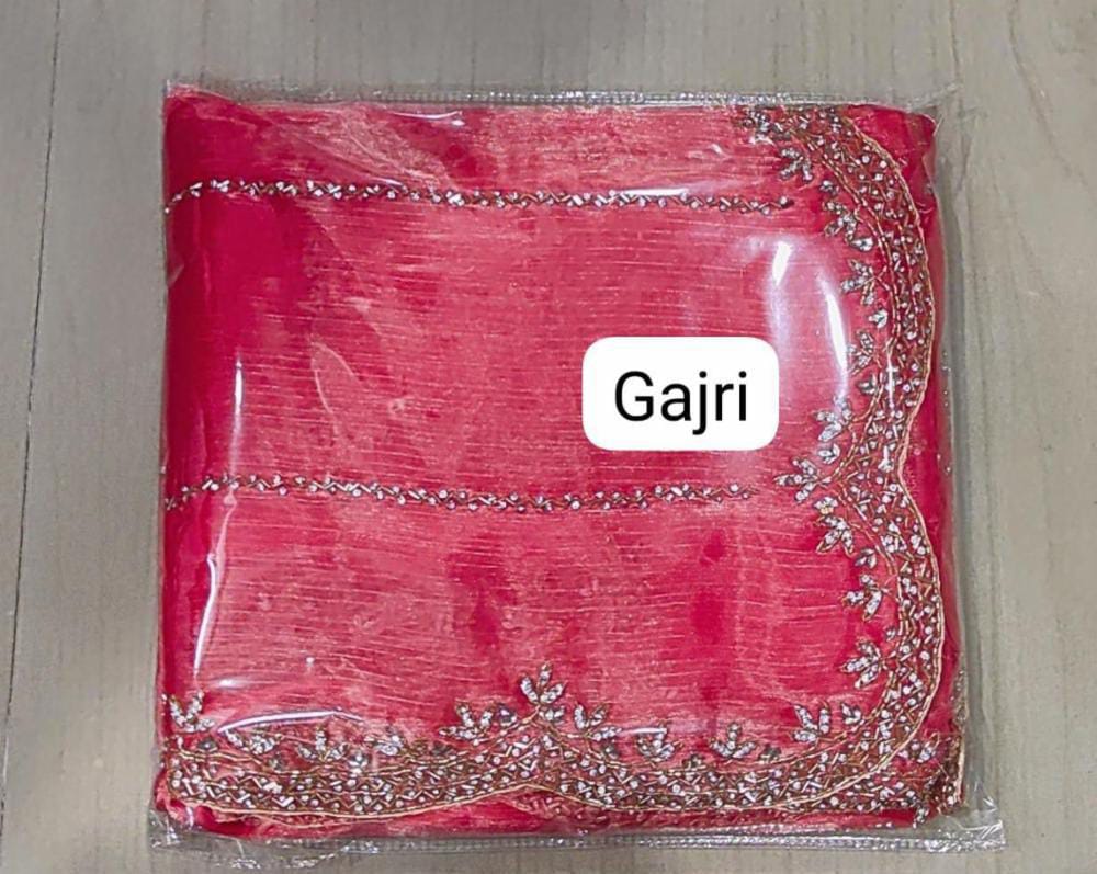 Zimmy Choo hand work saree diamond stone work
