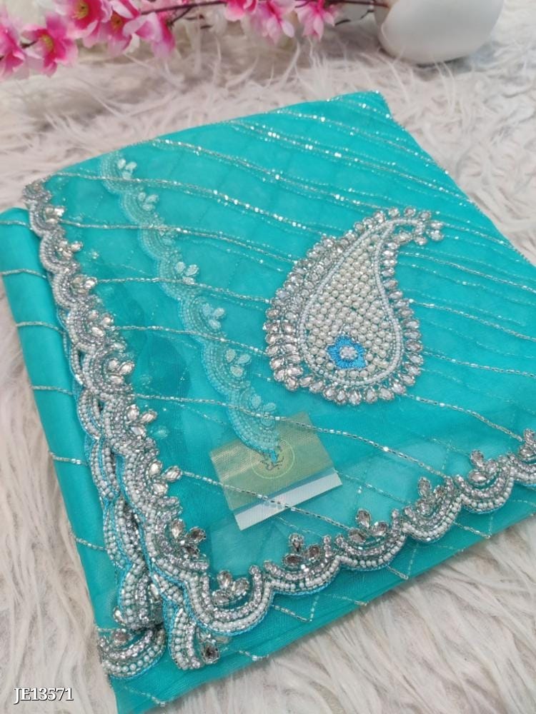 Buterfly net Saree fancy hand work diamond stone work