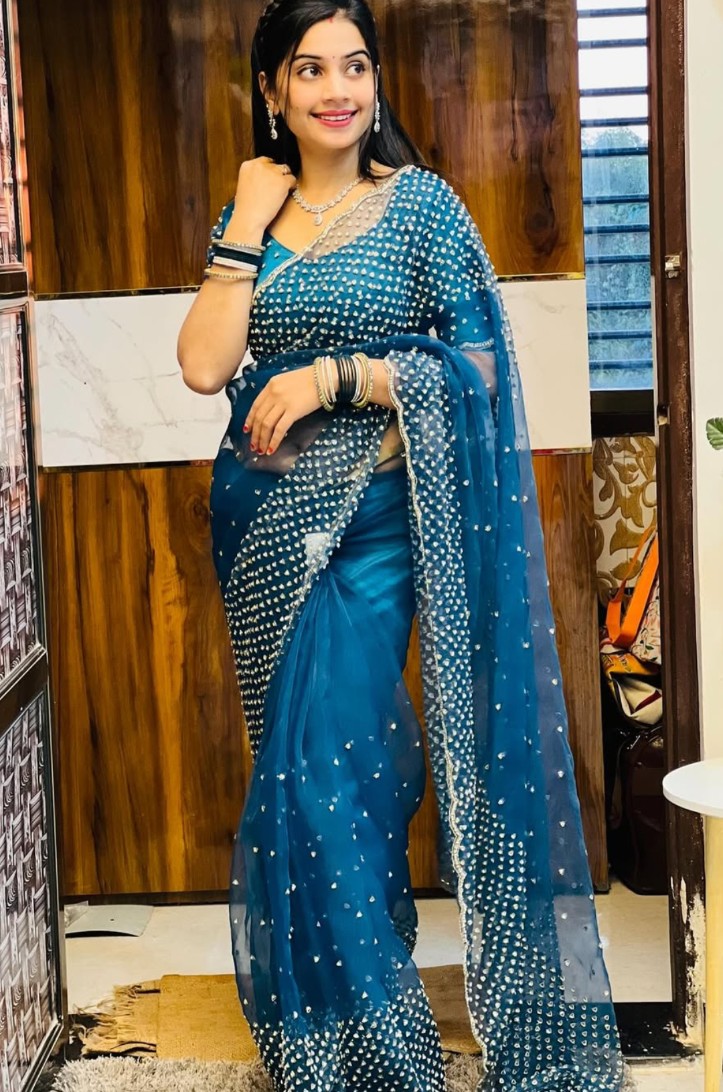 Pure organza net saree original hand work catdana pipe loading work 75000 diamond stone work