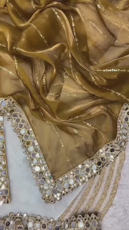 mirror work saree pure Jimmy choo