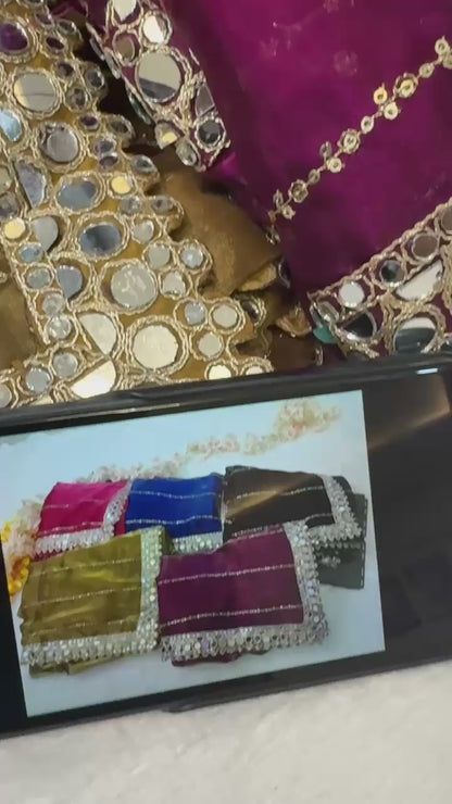 mirror work saree pure Jimmy choo