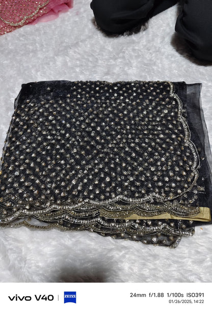 Pure organza net saree original hand work catdana pipe loading work 75000 diamond stone work