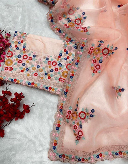 Pure organza saree