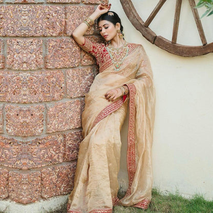pure Organza saree silk fancy red broder