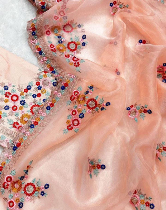Pure organza saree